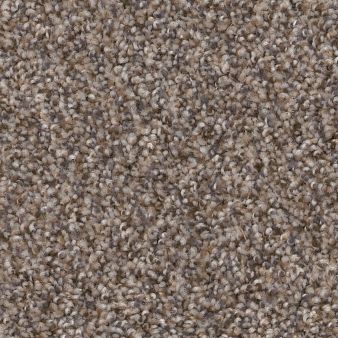 Carpet swatch on sale